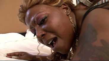 Thick BBW in Fishnets Gives Sloppy Blowjob Then Takes It Doggy & Reverse Cowgirl to Facial