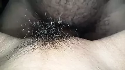 Indianbull sex