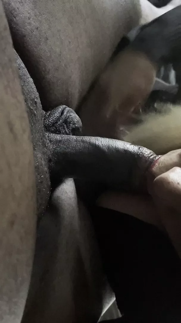 Milf giving head