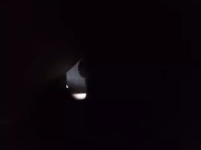 udata zena krese se iz zadovoljstva (zemun)
