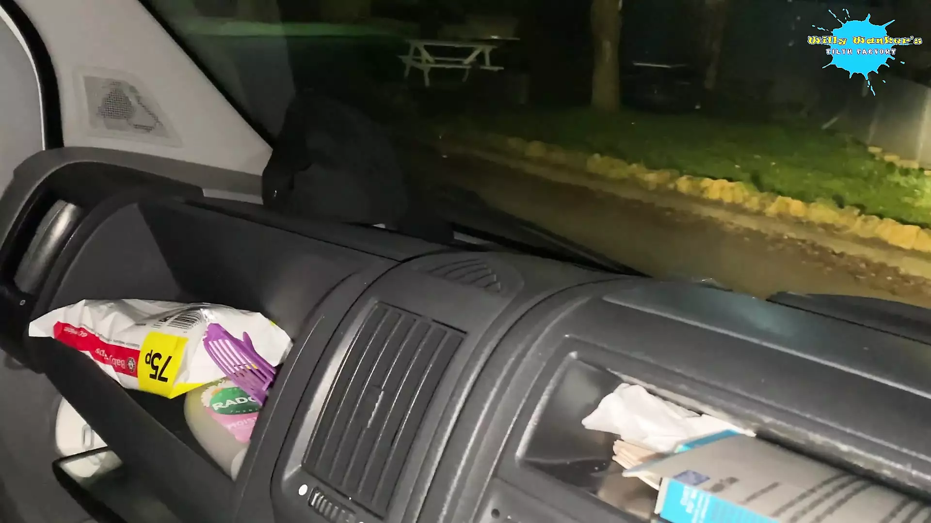 Cracky offered a lift and ends up getting Her pussy out