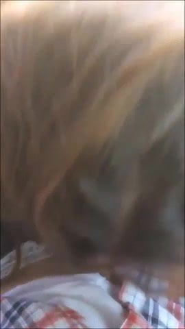 turkish slut milf forest outdoor public turk evli aldatiyor