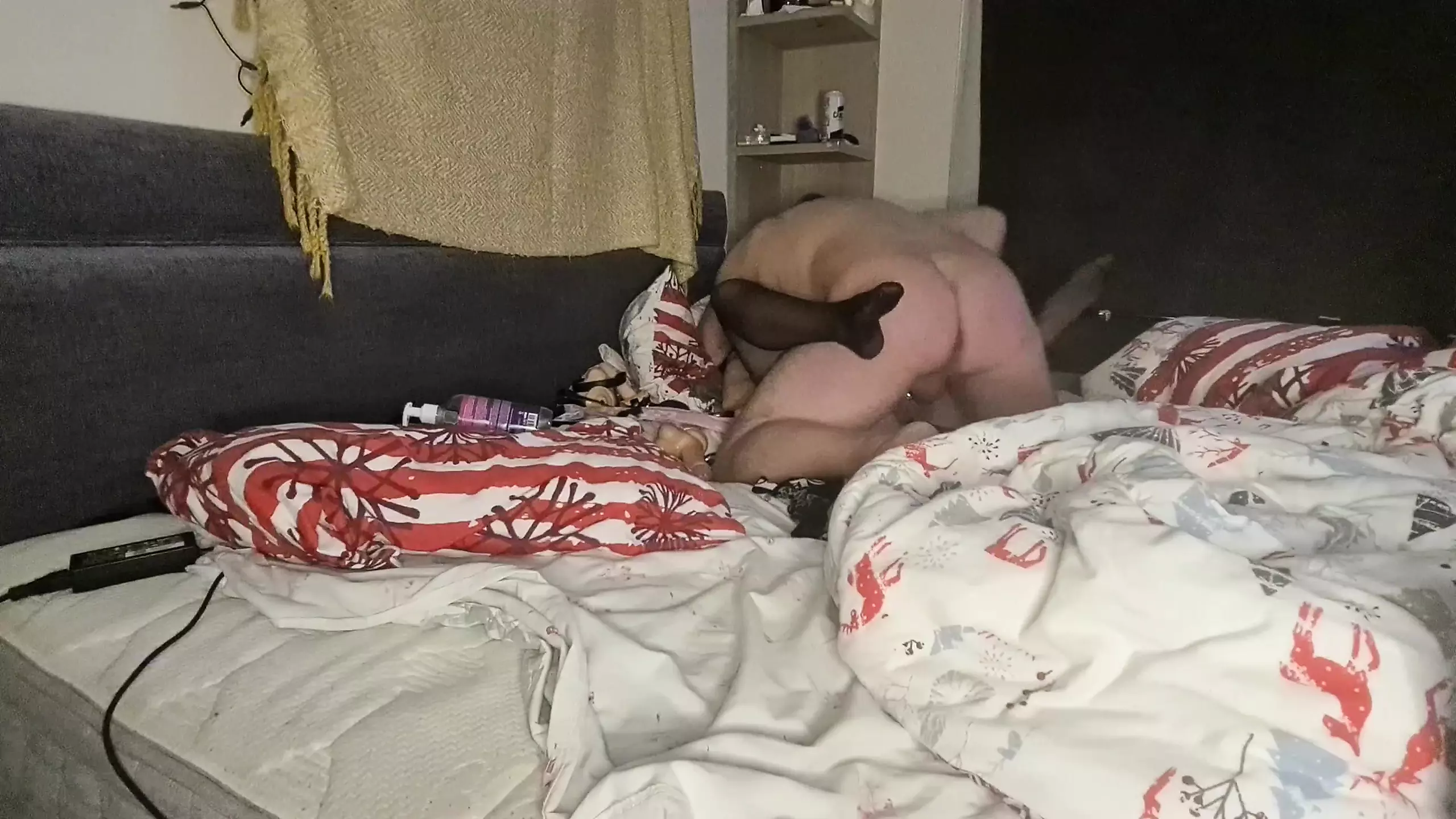 Very exciting evening with a sexy amateur milf,