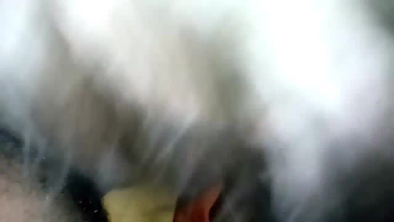 Getting my cock sucked good