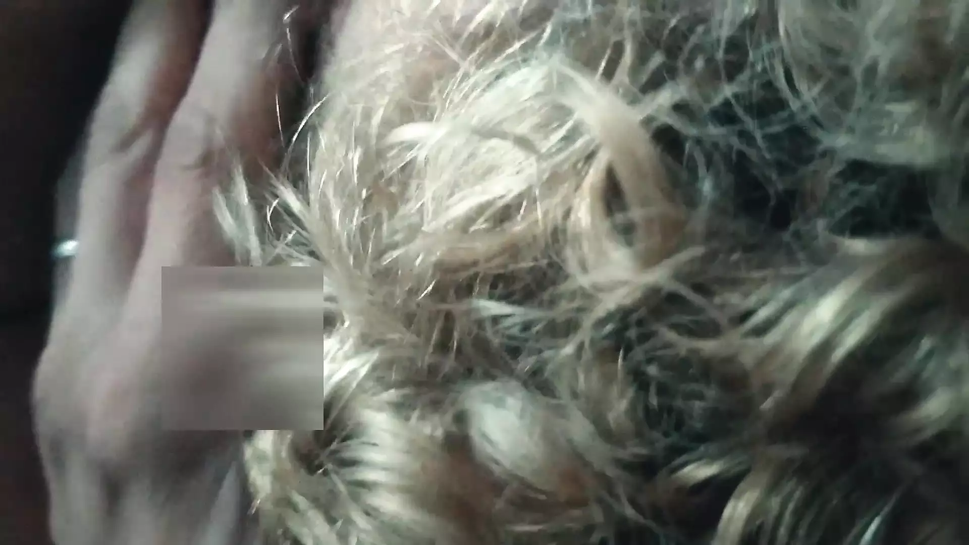 Pinching the nipples of the horny wife