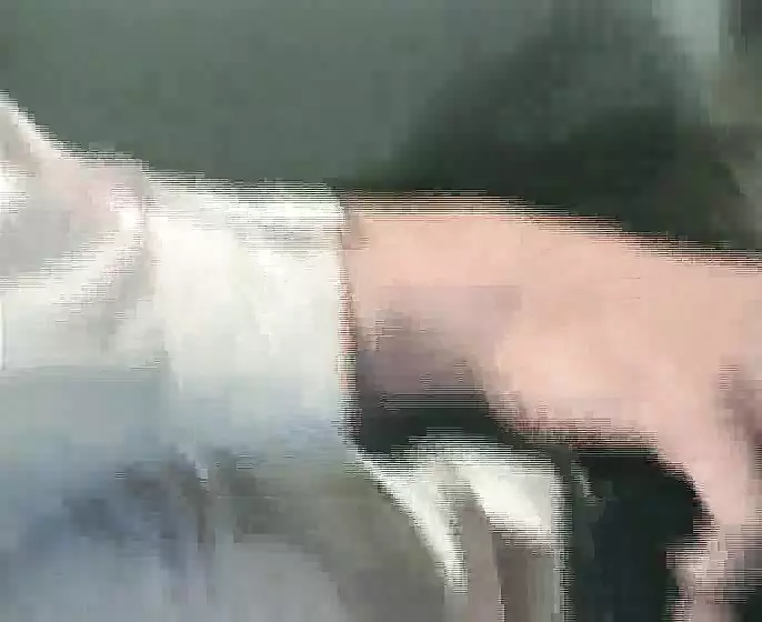 Vintage Retro German Amateur your Daily Dose of Porn