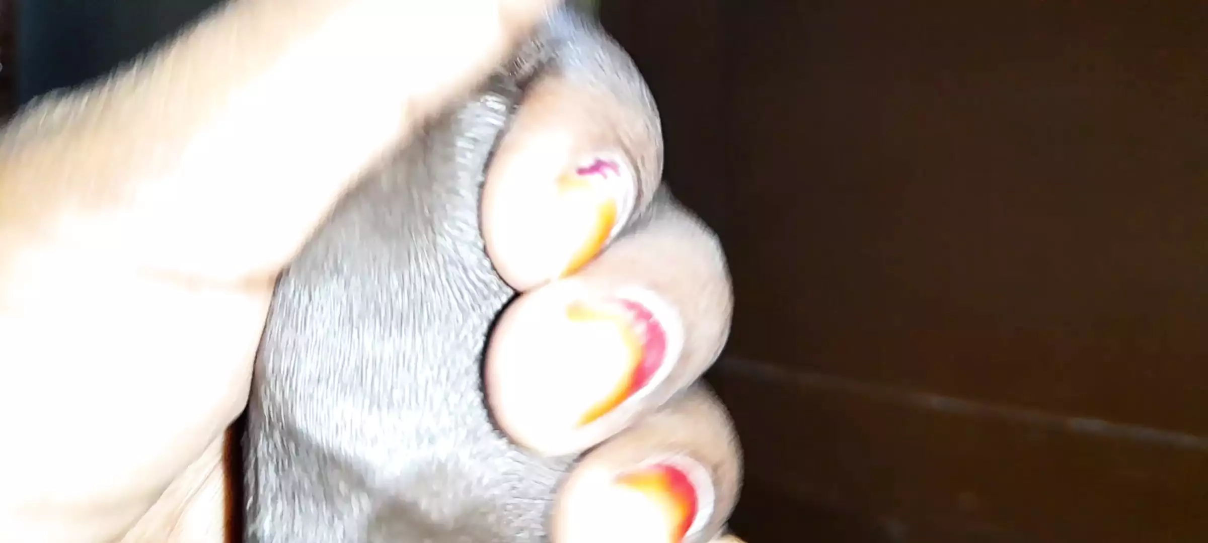 Desi Tamil my stepbrother wife lick my dick