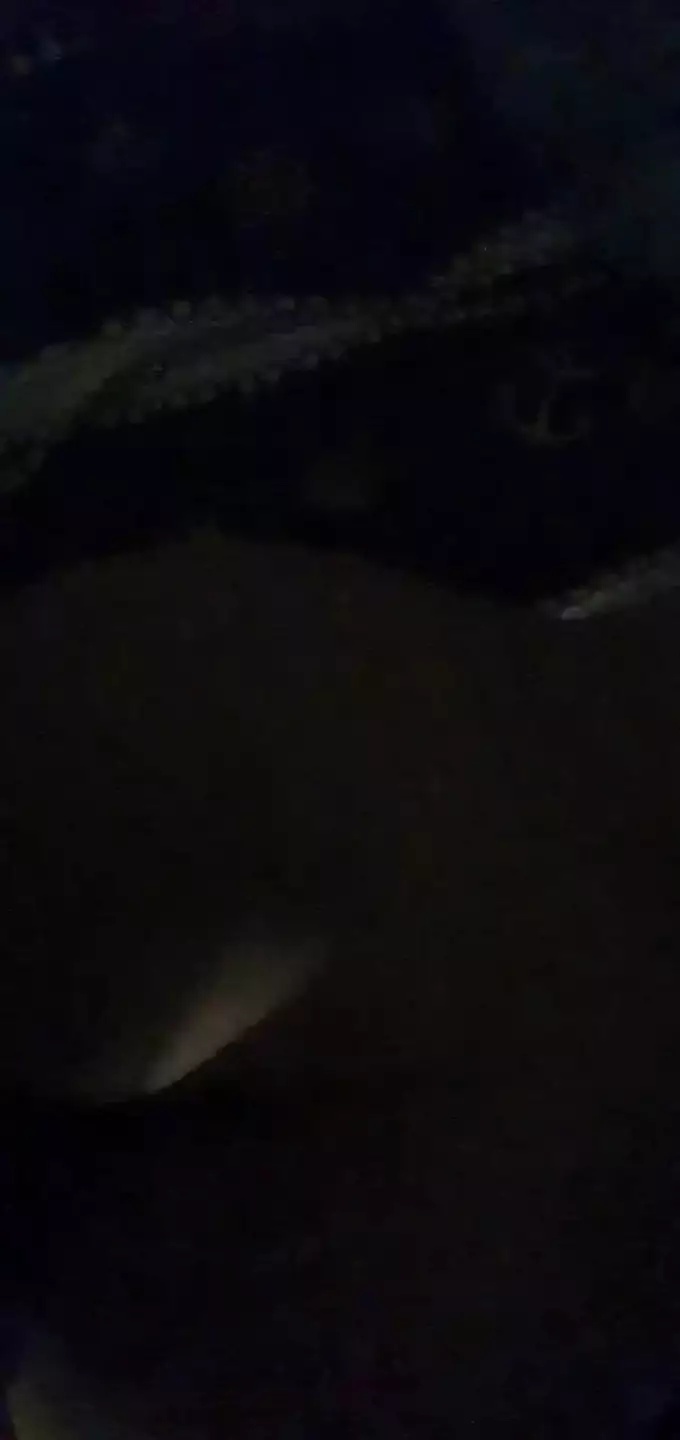 Amateur fuck and blowjob night