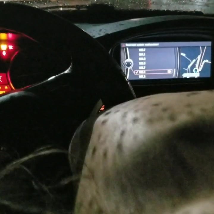 StLCyn sucking cock in public