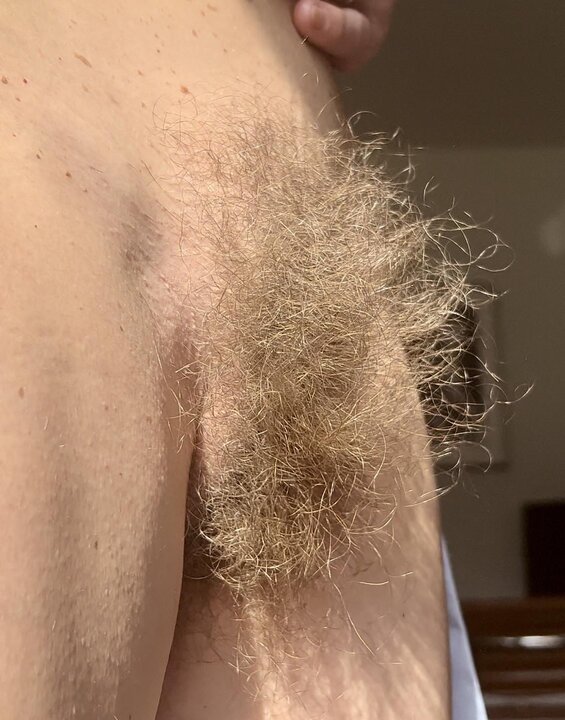 Hairy Sara's wild bush