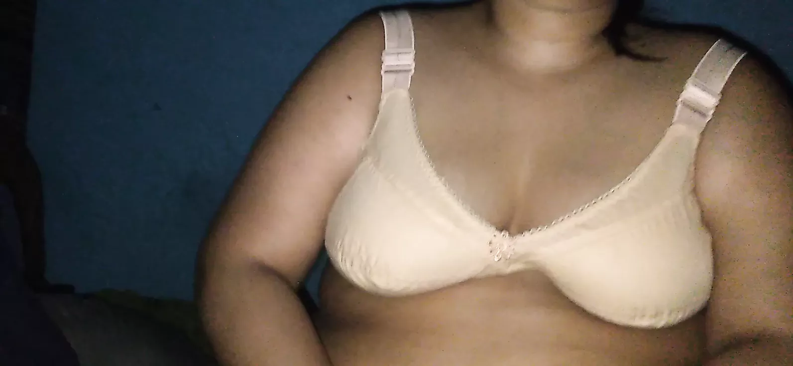 Indian Bhabhi Big Boobs Got Fucked hung