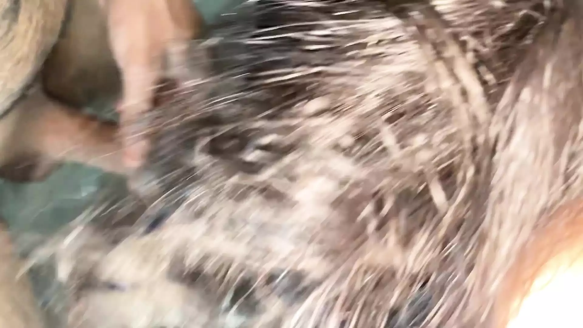 Sasu Ma To Aaj Bhi Jawan Thi Uff Kya Chudai Thi Ma Ki Chut Ki DESIFILMY45 SLIMGIRL New Desi Porn Sex Video