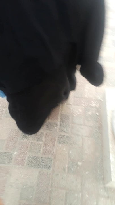 Bbw
