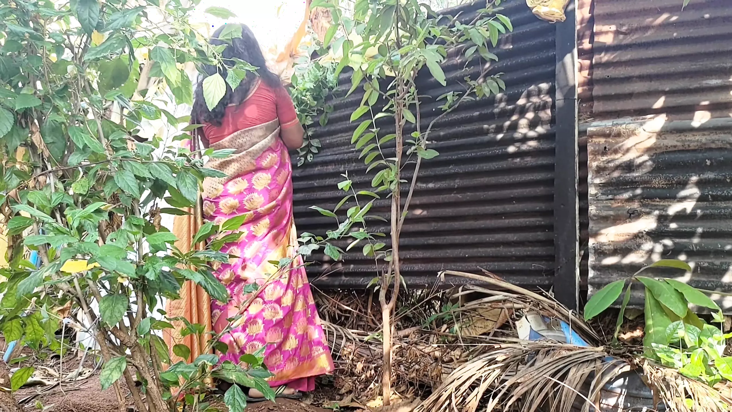Aunty was looking for something in the garden and I had sex with her