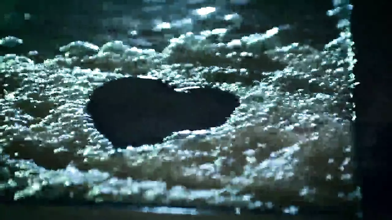 Effie starred in the video group's The Dillinger Escape Plan