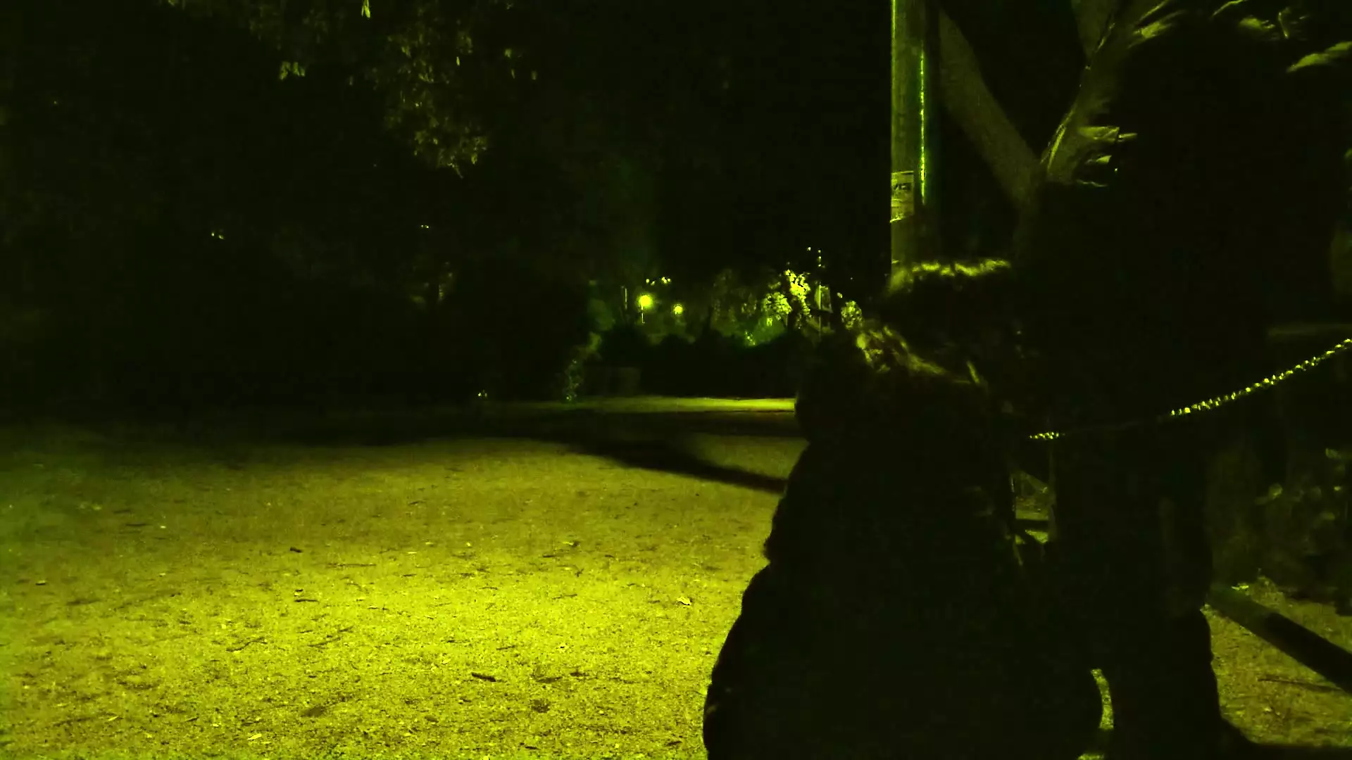 My husband took me for a walk in the park with a leash around my neck. Then he wanted me to suck his dick.