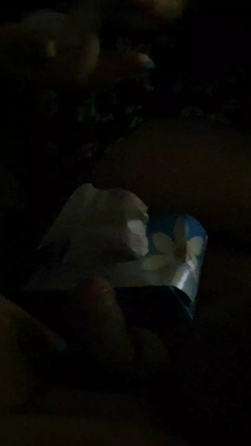 Stepmom swallowing stepson cum in the car