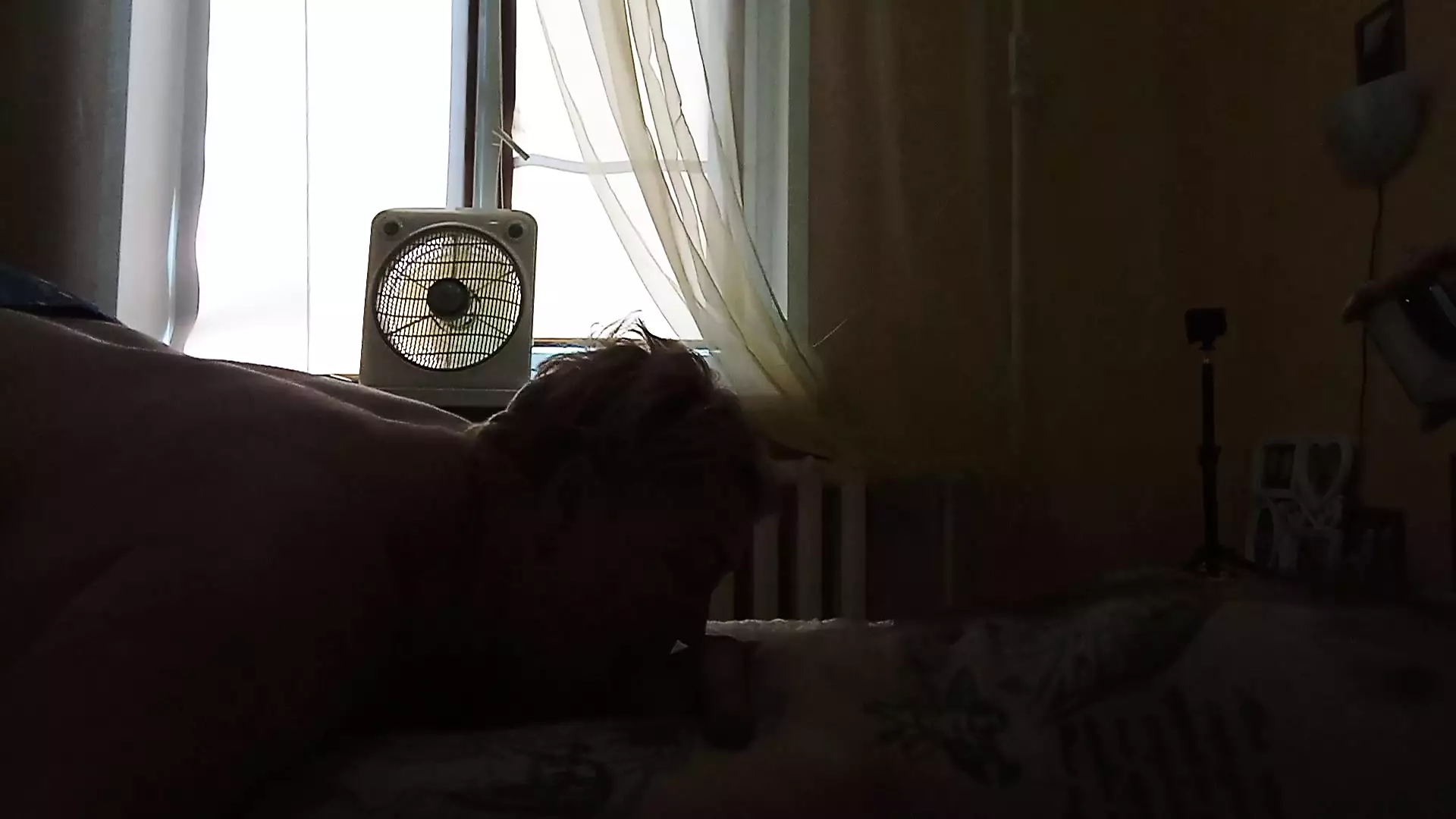 sucks my cock and rubs against it with big tits